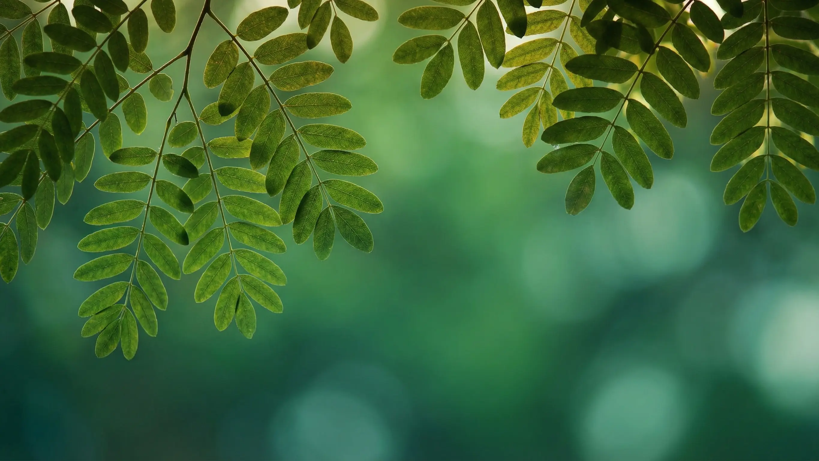 Afterlife planning insights blog by Planning Onward